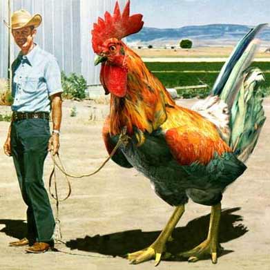 Man with Big Cock